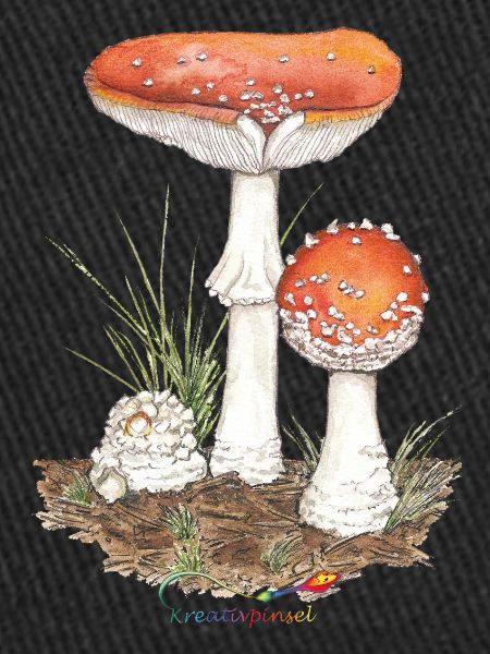 Toadstool