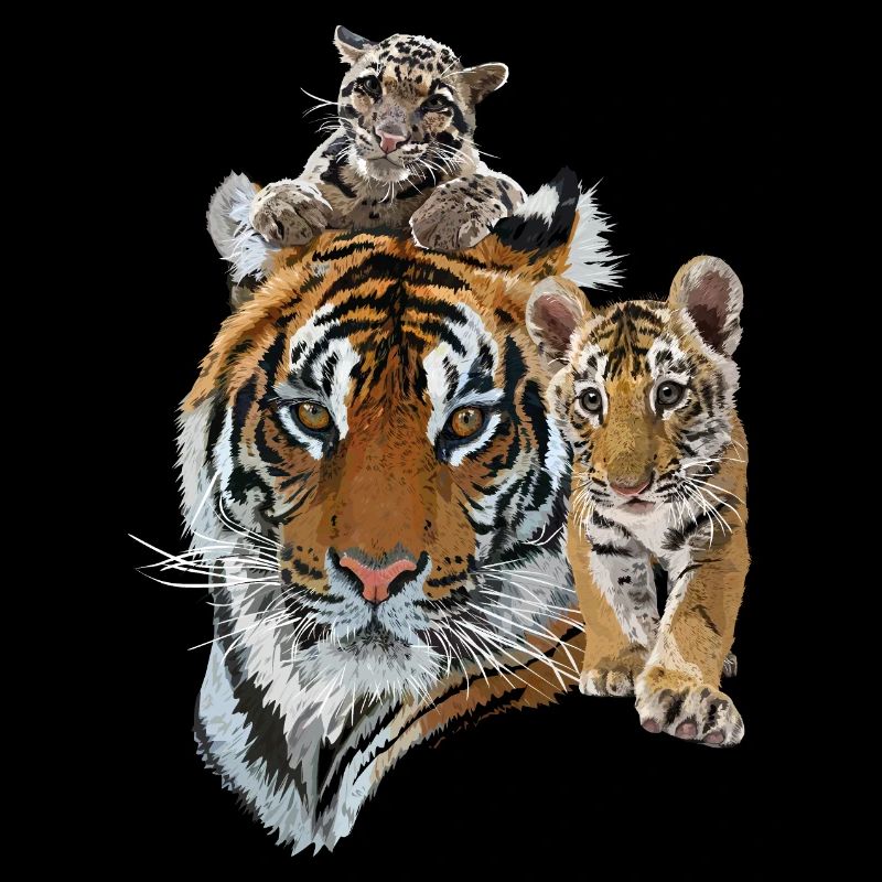 Bengal Tiger und Hazy Tiger