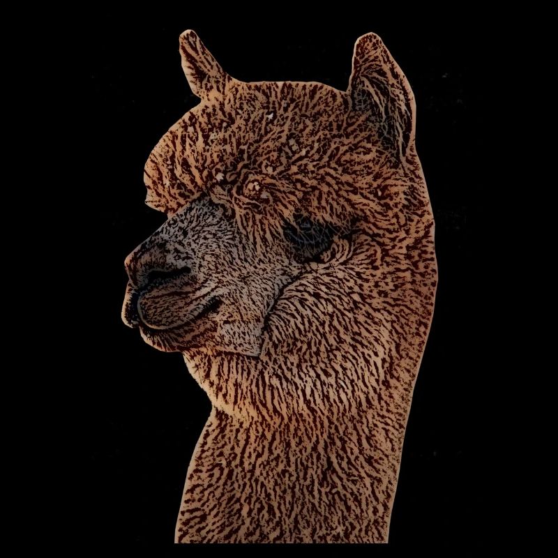 Alpaka, Lama, Geschenk, Llama