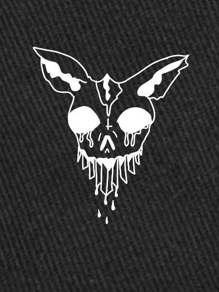Animal skull