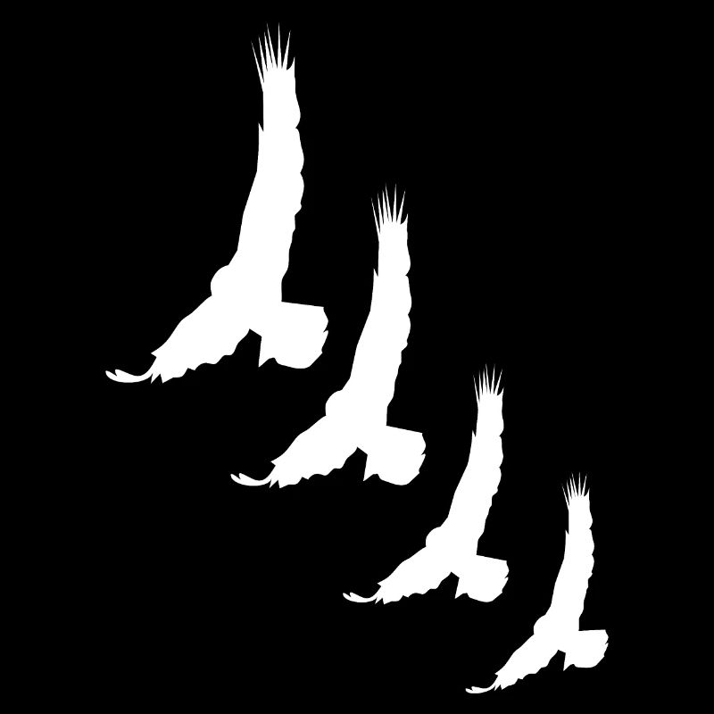 Oiseaux Oiseaux Oiseaux Oiseaux Oiseau
