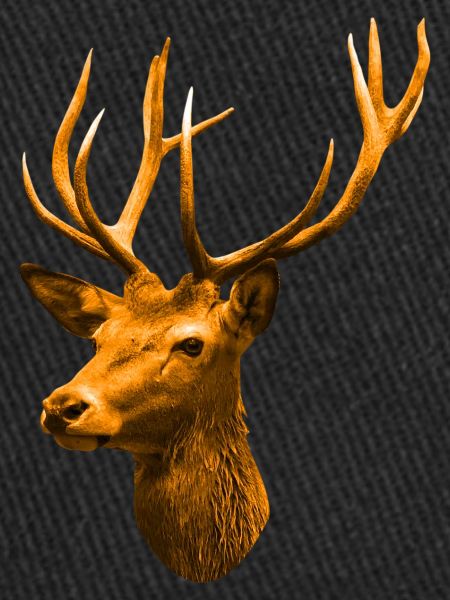 tête de cerf doré