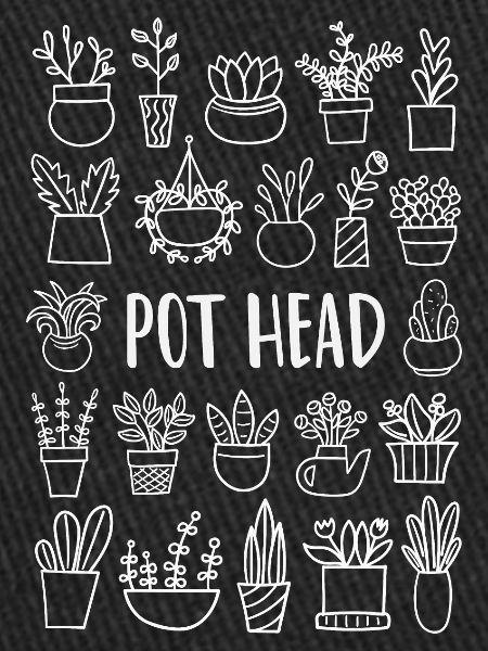 Plant Plants