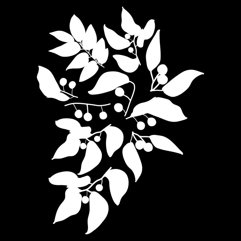 Beeren c1