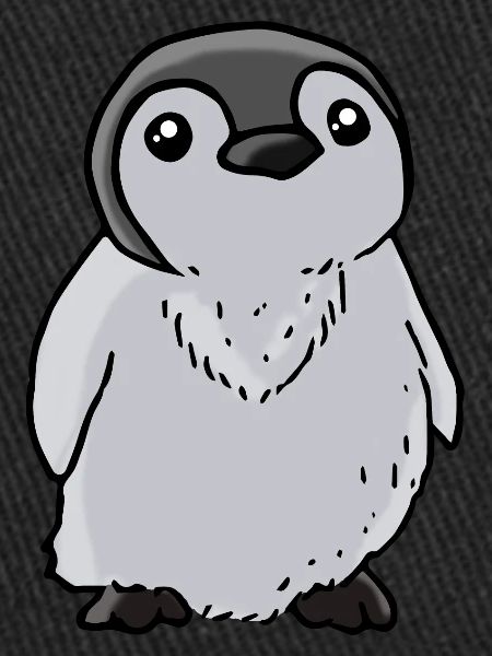 Bébé pingouin