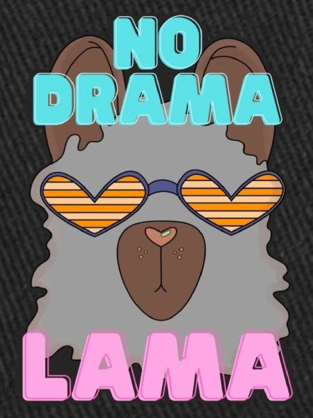PAS DE DRAME LAMA