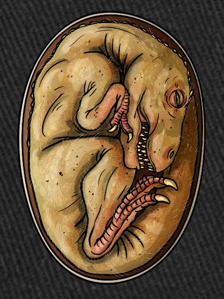 Dino Egg
