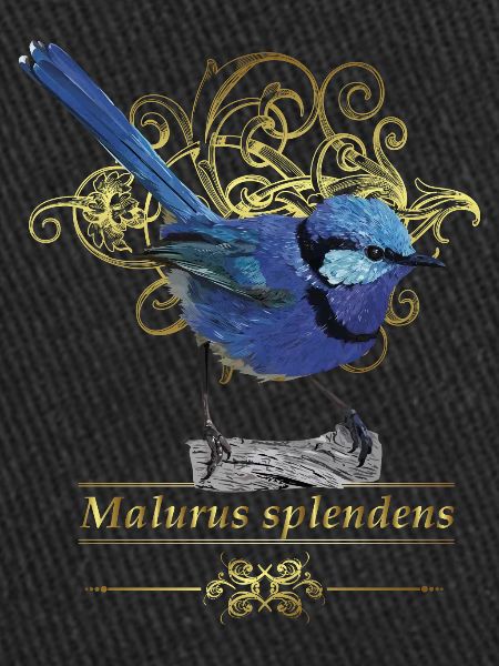 Herrlicher Maluro