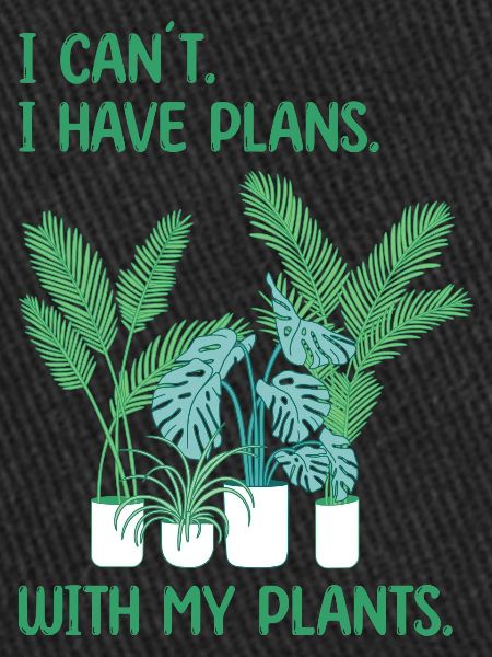 Houseplants