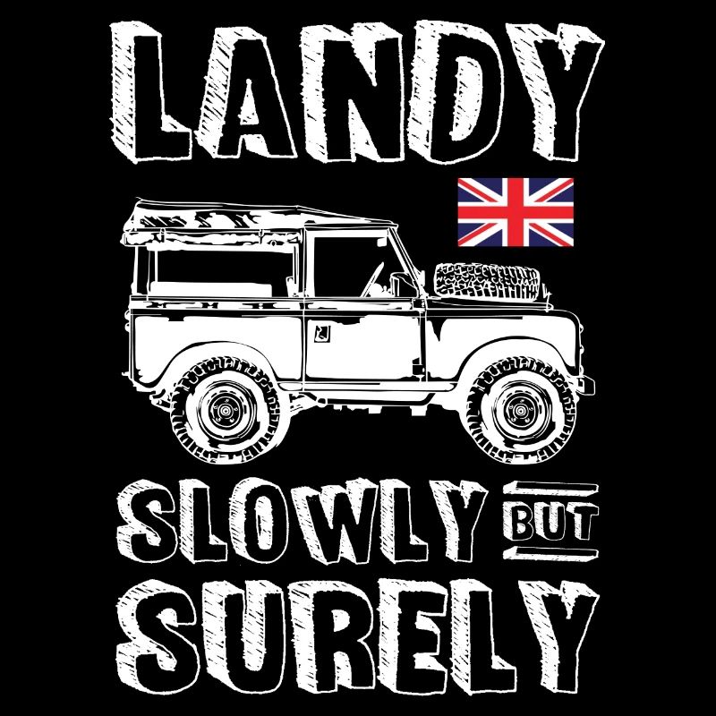 Landy Slowly But Surely