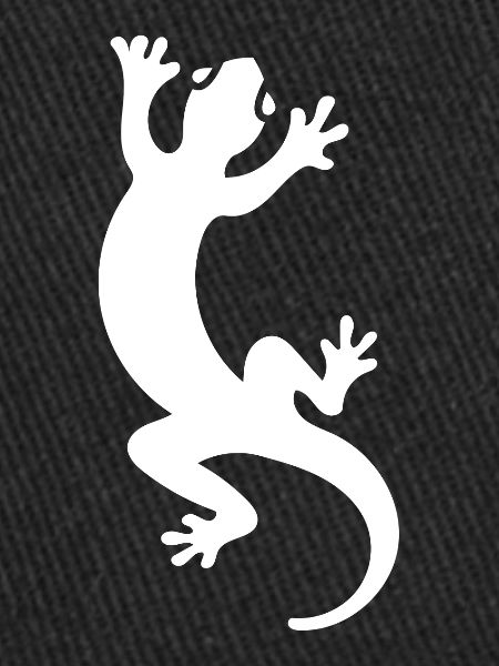 Salamander