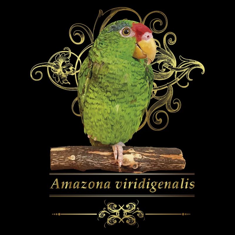Le perroquet Tamaulipas