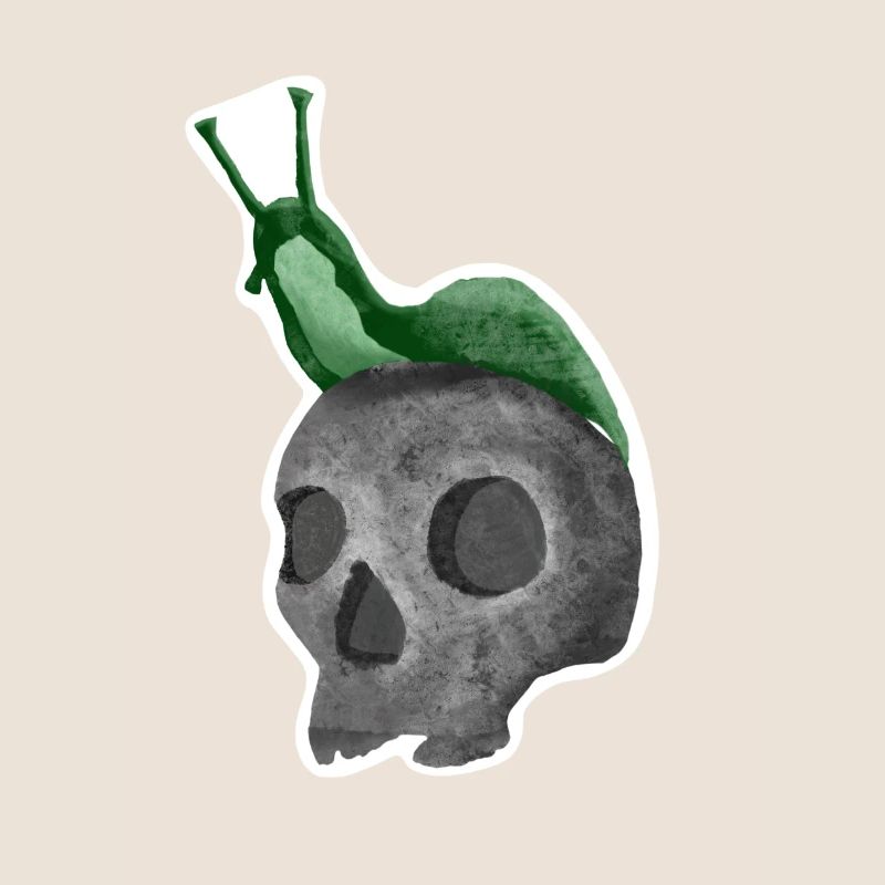 Schädel mit Schnecke