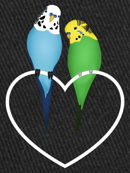 Budgerigar Pair Heart