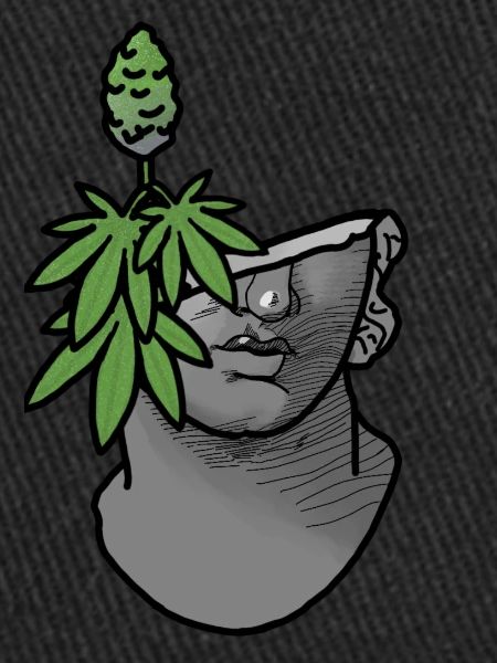 Stoned bust