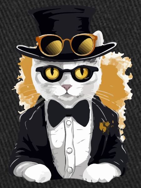 Micky le chat chic
