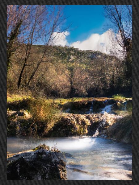 Forest River Wasserfall