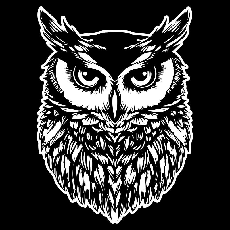 Eule Eulen Vogel Vögel