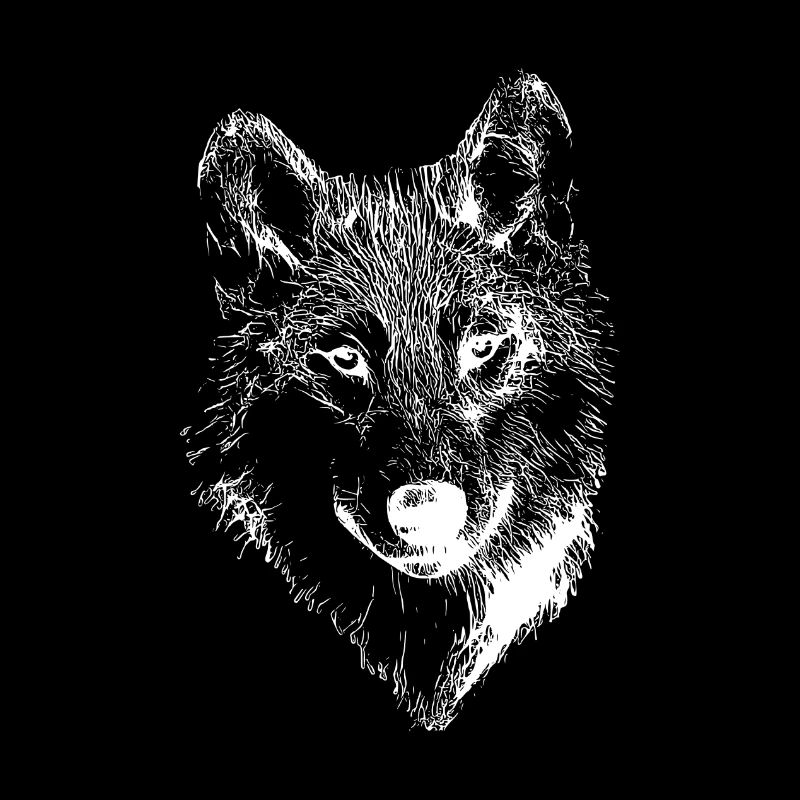 White Wolf drawing