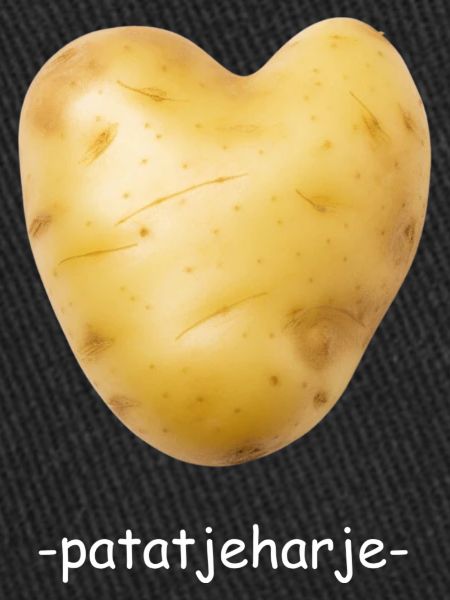 Savory Fries. fries-heart