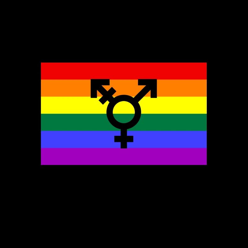 Pride Flagge mit Geschlechterzeichen