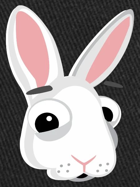 Bunny Head Bunny Funny