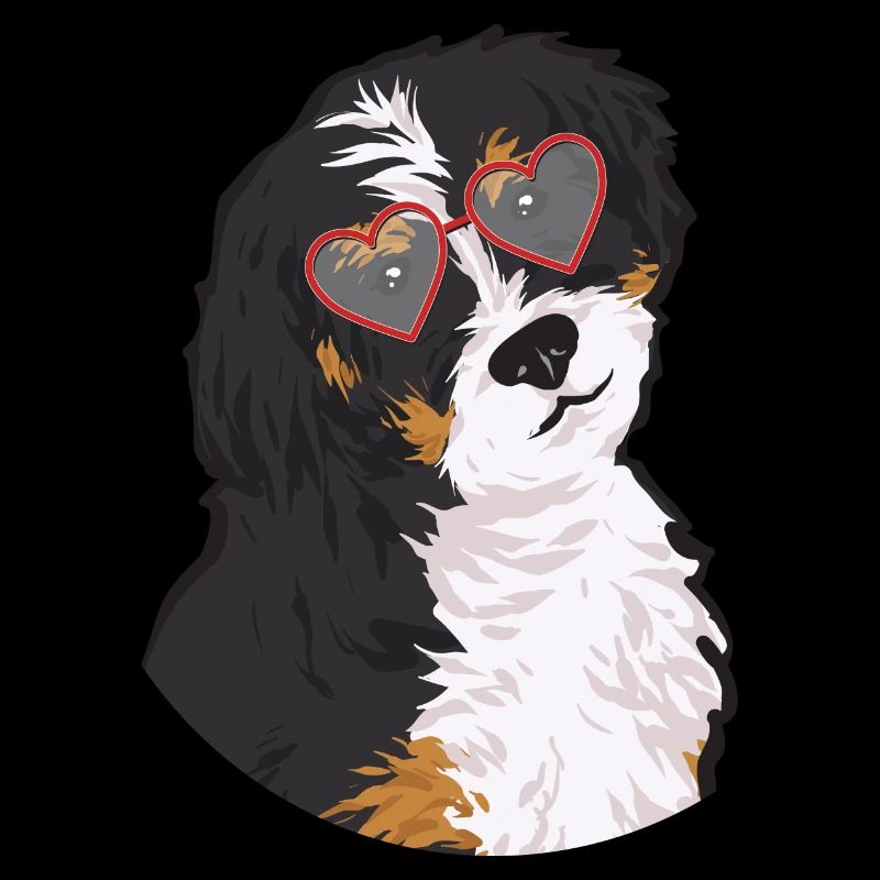 Bernedoodle Hund