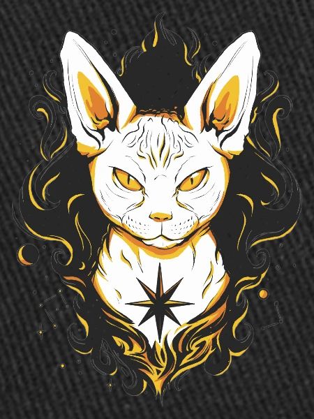 Cat Cats