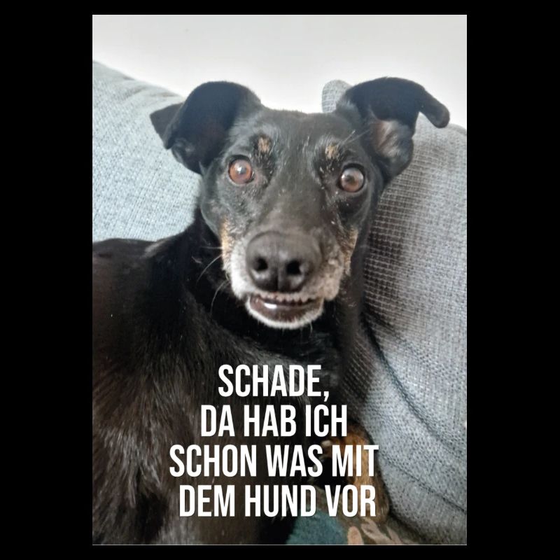 Da hab ich schon was vor
