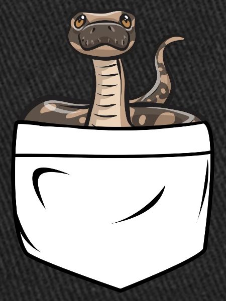 Ball Python Schlange Königspython