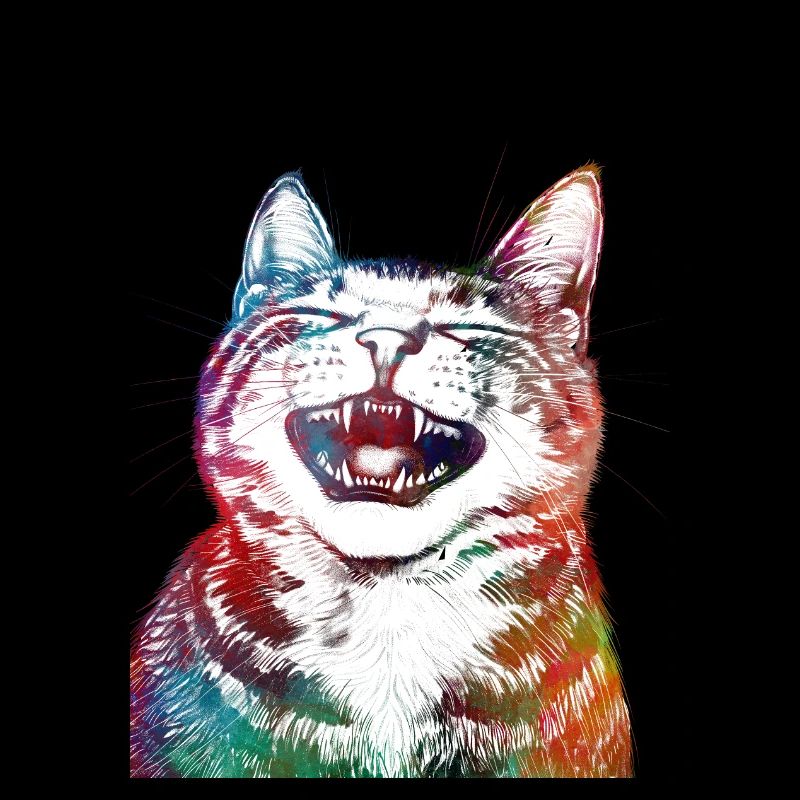 Drôle de chat 1