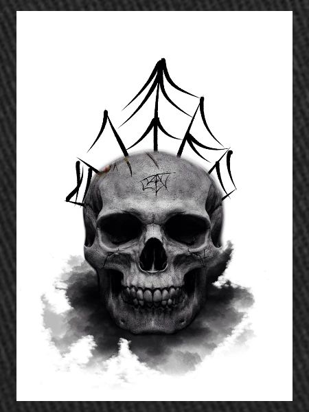 Crâne d’araignée morte