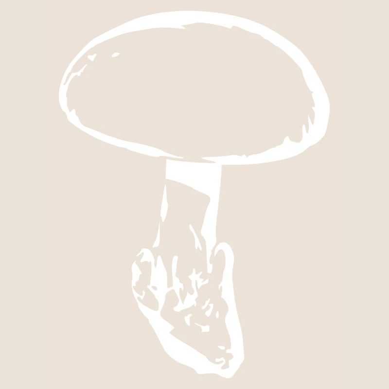 Mushroom white, mushroom picking