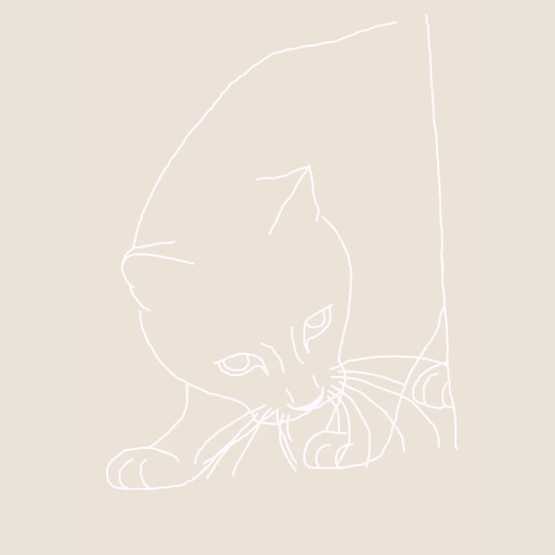 Katze