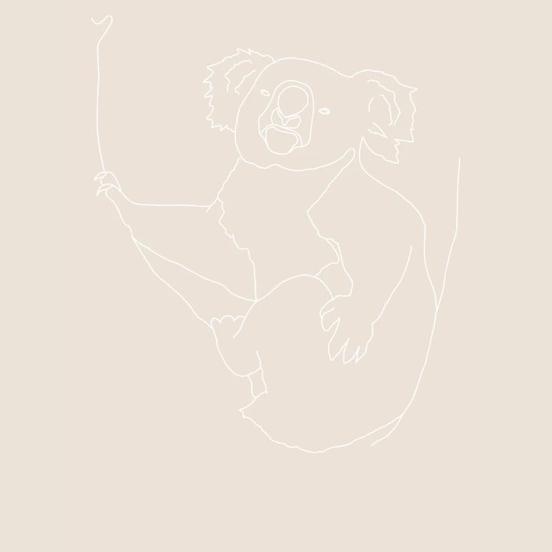 Koala lineart