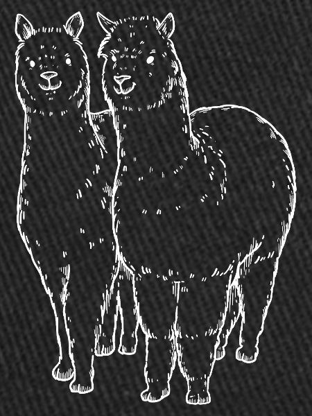 Two Alpaca Llama Lines Drawing