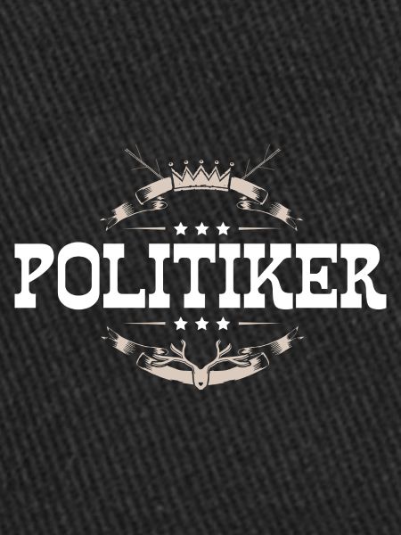 Politiker Beruf