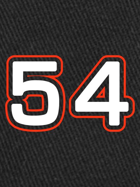 Symbole numérique 54