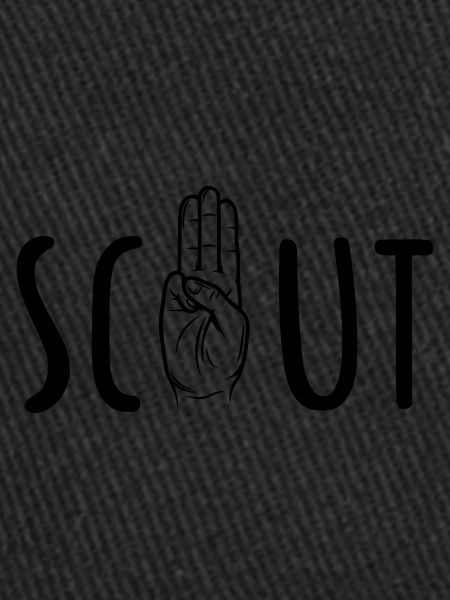 Scout / Scouting