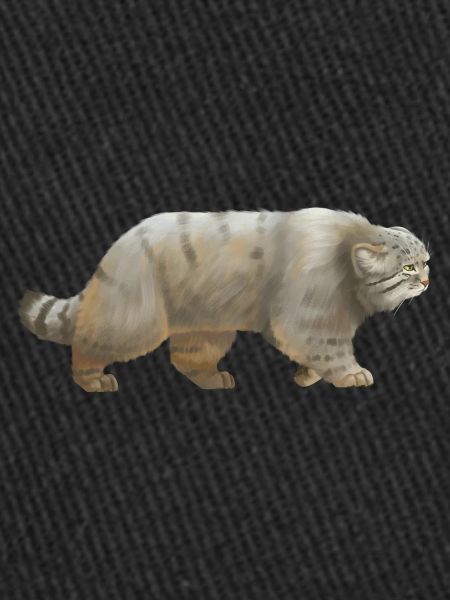 Cool Manul - le chat sauvage