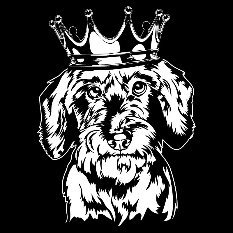 teckel à poil dur Teckel Krone Chiens Chien Wilsigns