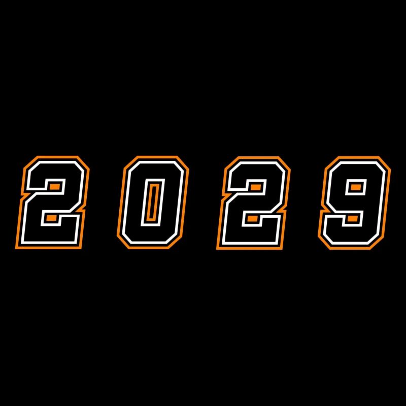 Numéro de l’année 2029