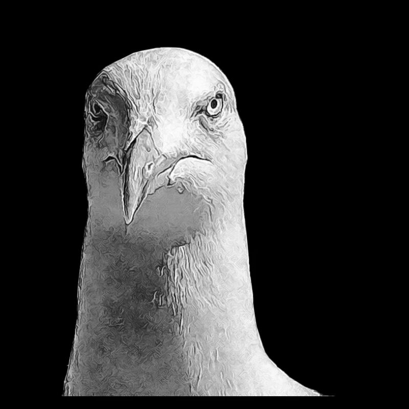Mouette
