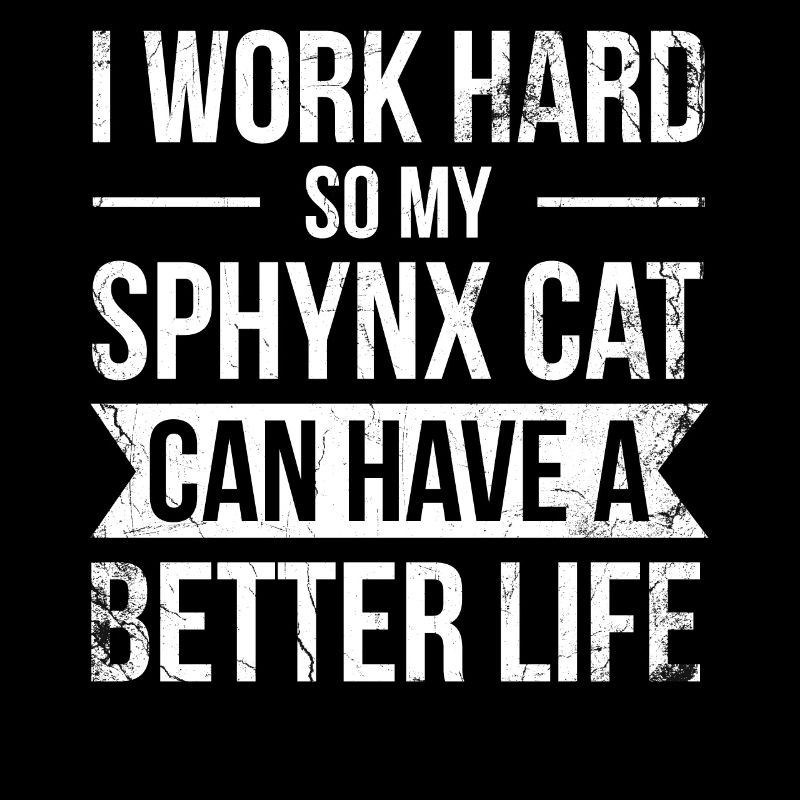Je travaille dur pour faire de mon chat Sphynx un