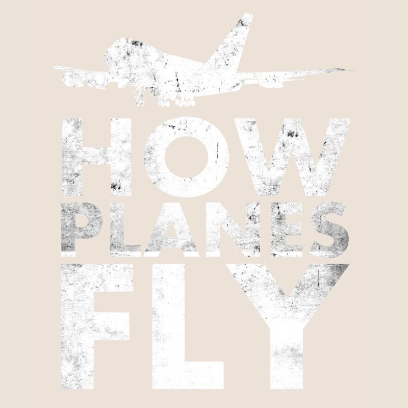 How Airplanes Fly Design for Pilots