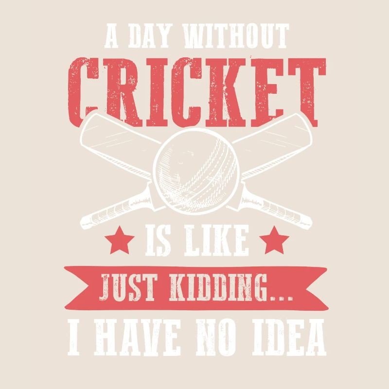 Équipe de cricket