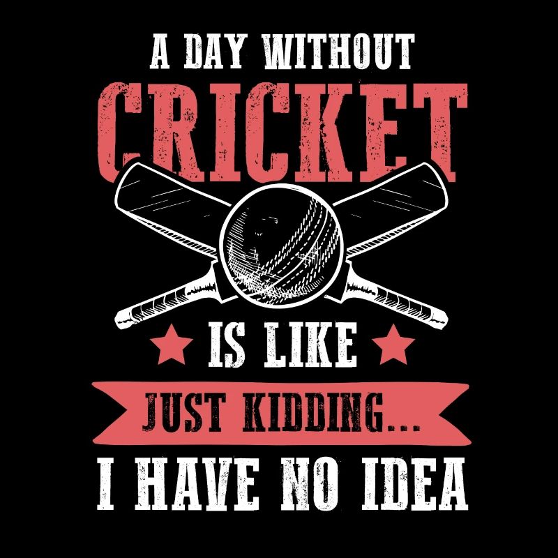 Équipe de cricket