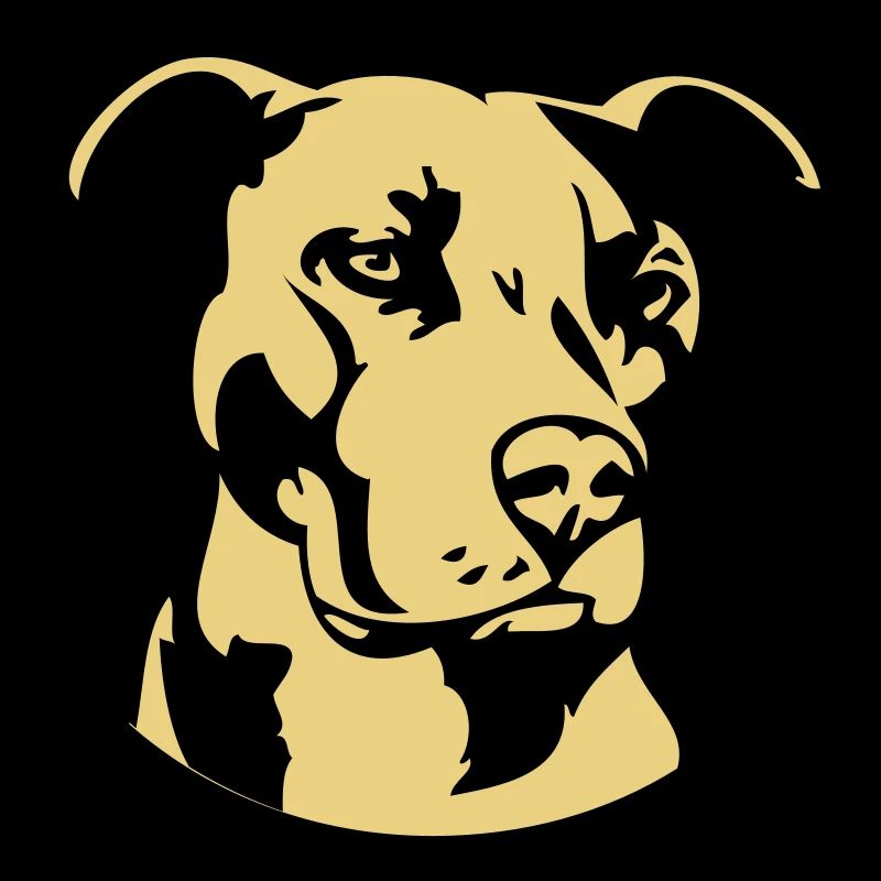 Pitbull zweifarbig - Hund Kampfhund