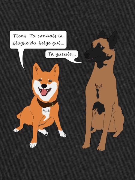 blague belge