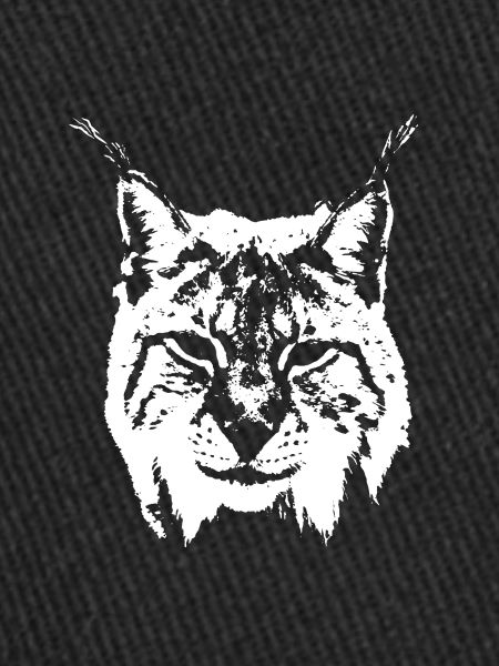 Luchs